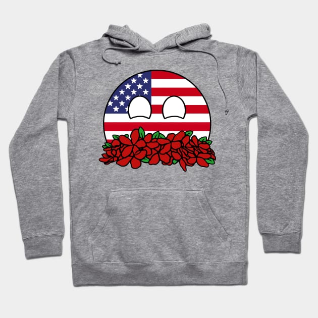 countryballs america play flowers Hoodie by LillyTheChibi